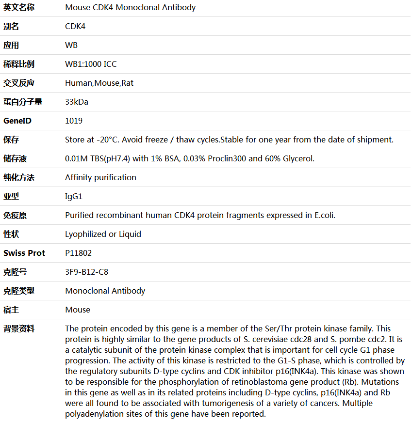 CDK4 Antibody,索莱宝,K000051M-100ul