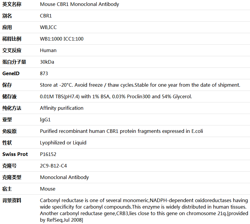 CBR1 Antibody,索莱宝,K000085M-50ul
