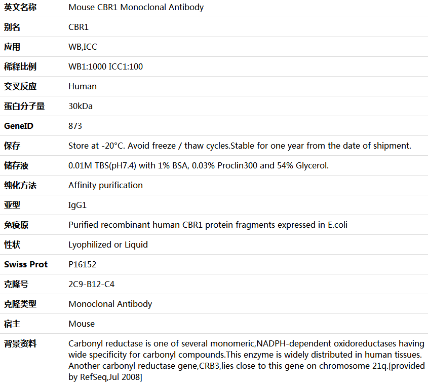 CBR1 Antibody,索莱宝,K000085M-100ul