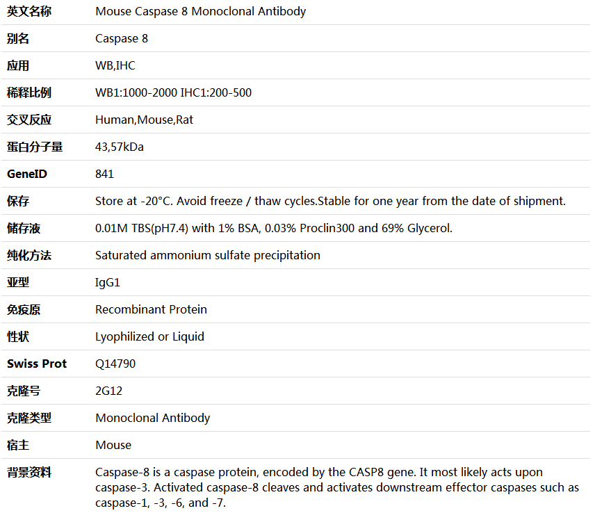 Caspase 8 Antibody,索莱宝,K000222M-100ul