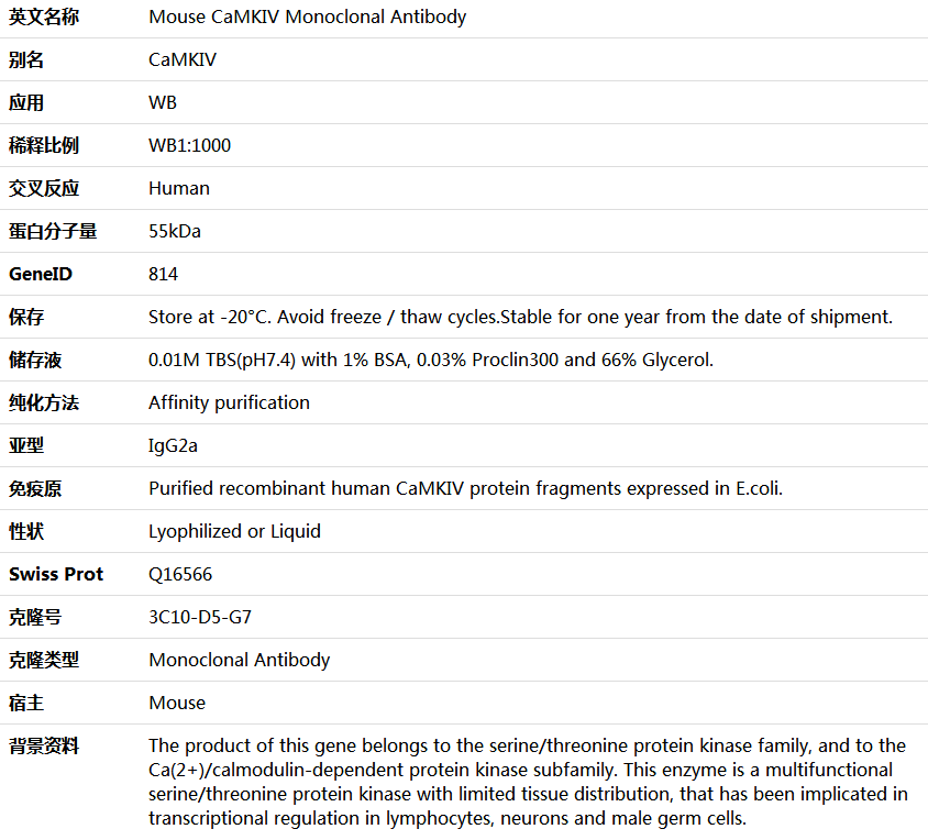 CaMKIV Antibody,索莱宝,K000057M-50ul
