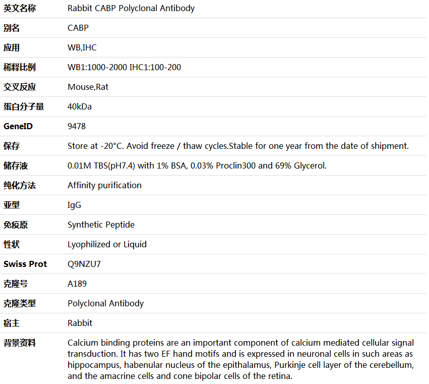 CABP Antibody,索莱宝,K000509P-100ul