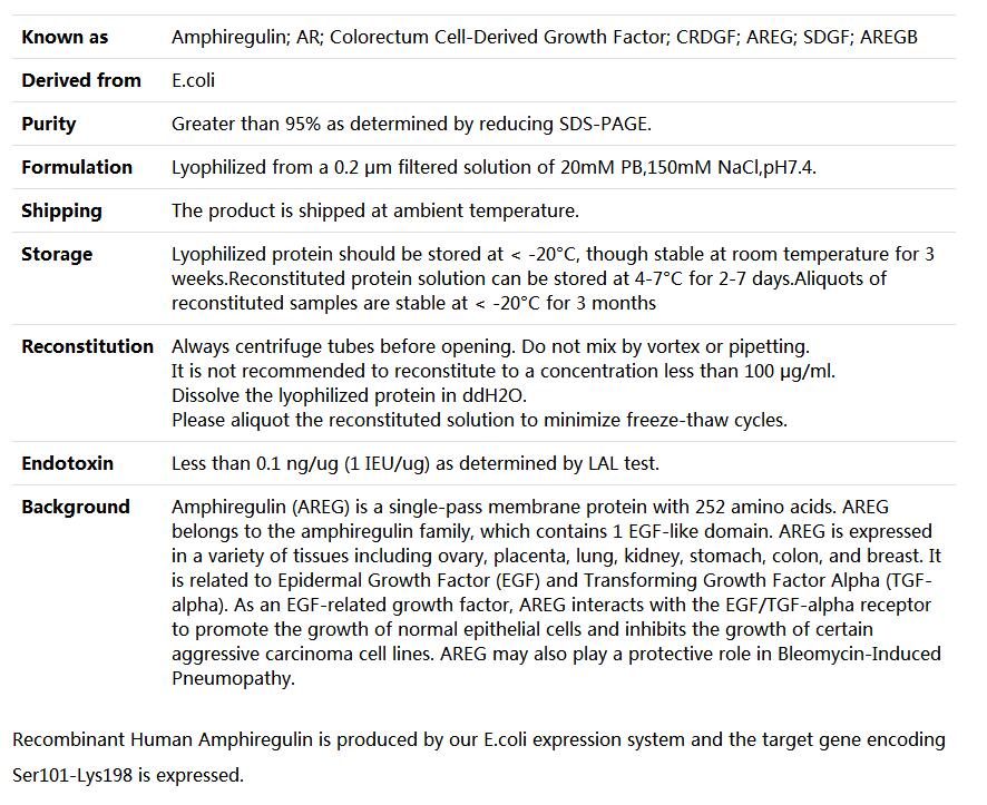 Recombinant Human Amphiregulin/AREG/AREGB/CRDGF/SDGF,索莱宝,P00157-10ug
