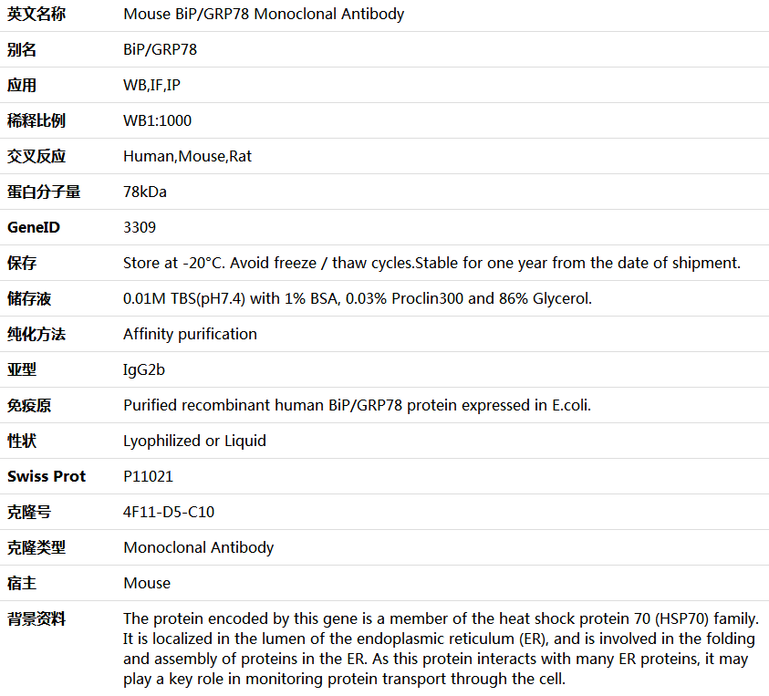 BiP/GRP78 Antibody,索莱宝,K000028M-50ul