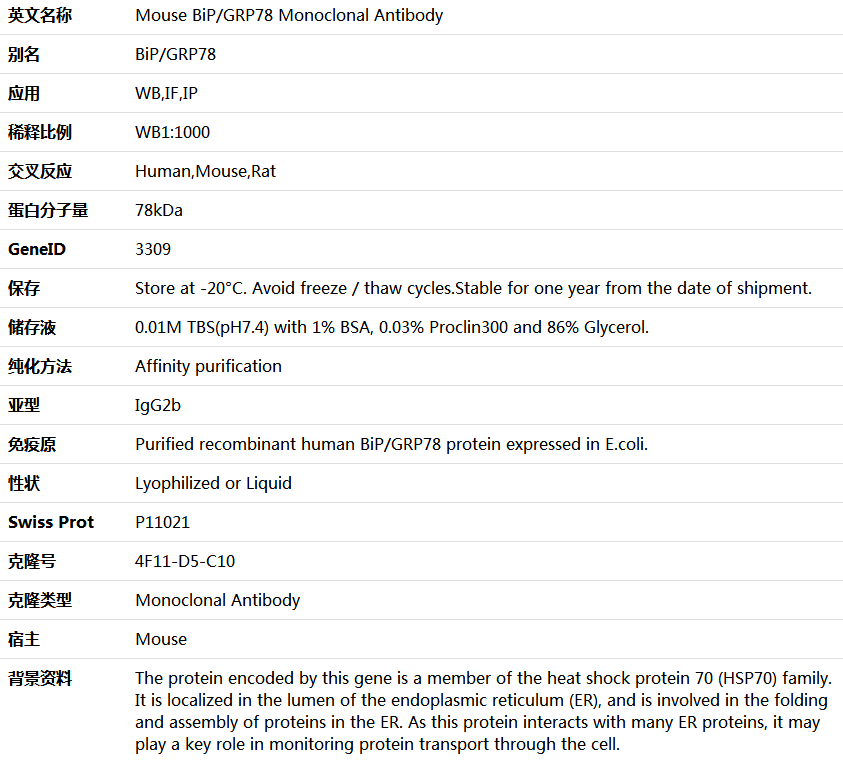 BiP/GRP78 Antibody,索莱宝,K000028M-100ul