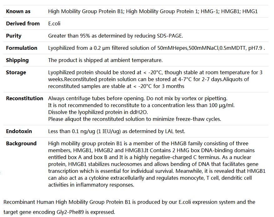 Recombinant Human HMGB1/High mobility group protein B1/HMG-1,索莱宝,P00151-1mg