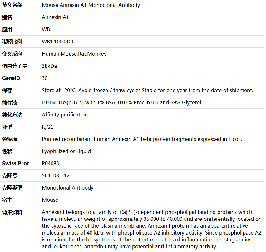 Annexin A1 Antibody,索莱宝,K000157M-50ul