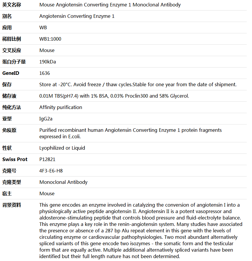 Angiotensin Converting Enzyme 1 Antibody,索莱宝,K000039M-50ul