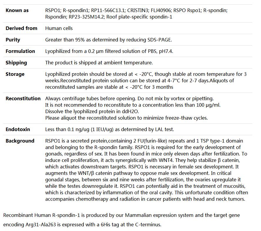 Recombinant Human R-spondin-1/RSPO1,索莱宝,P00147-50ug