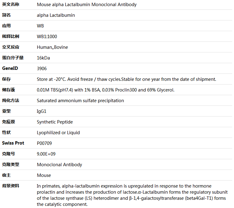 alpha Lactalbumin Antibody,索莱宝,K000207M-100ul