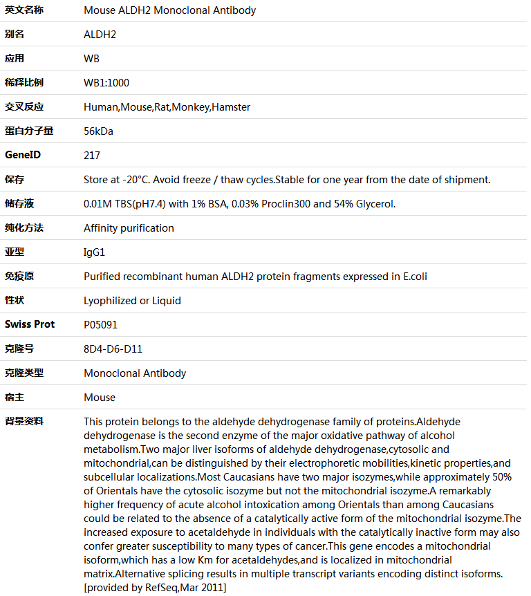 ALDH2 Antibody,索莱宝,K000109M-100ul