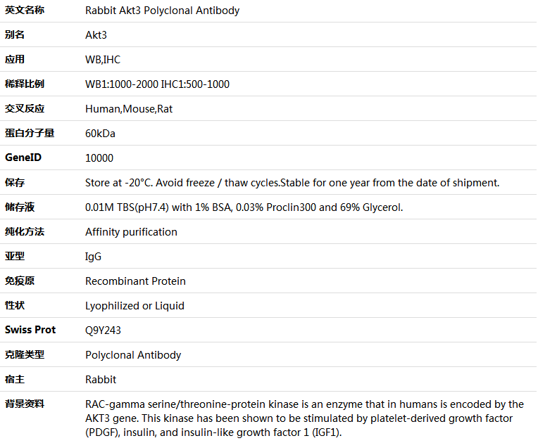 Akt3 Antibody,索莱宝,K000483P-100ul