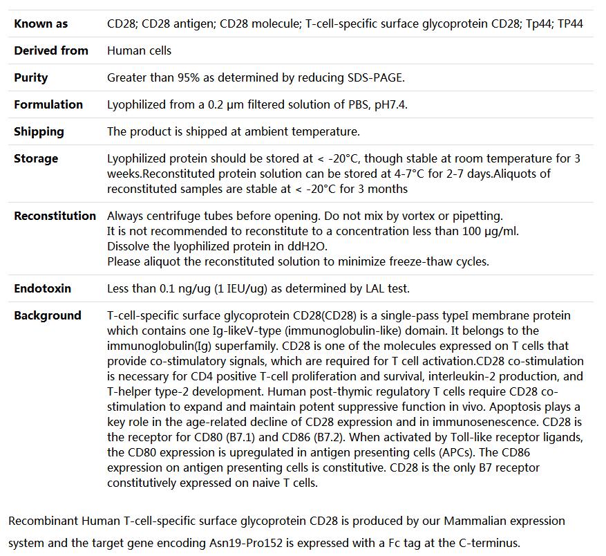 Recombinant Human CD28/TP44,索莱宝,P00146-500ug