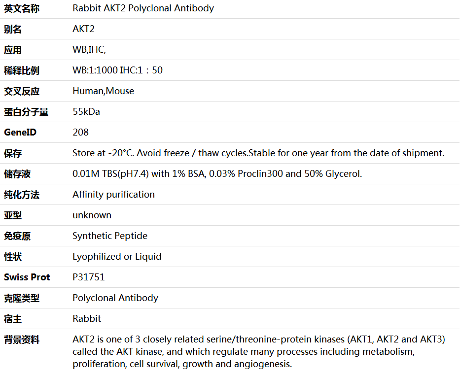 AKT2 Antibody,索莱宝,K001305P-100ul