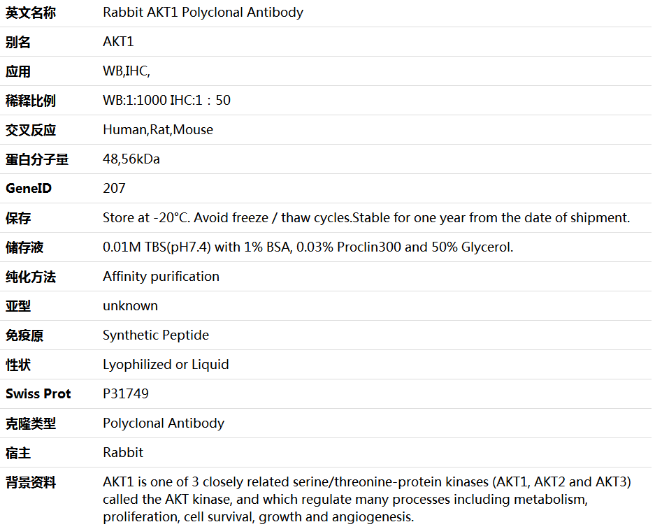 AKT1 Antibody,索莱宝,K001311P-100ul
