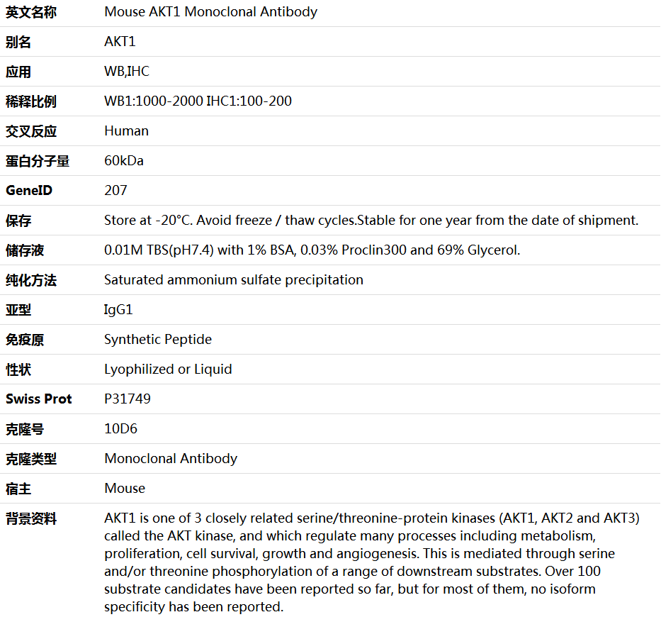 AKT1 Antibody,索莱宝,K000185M-100ul