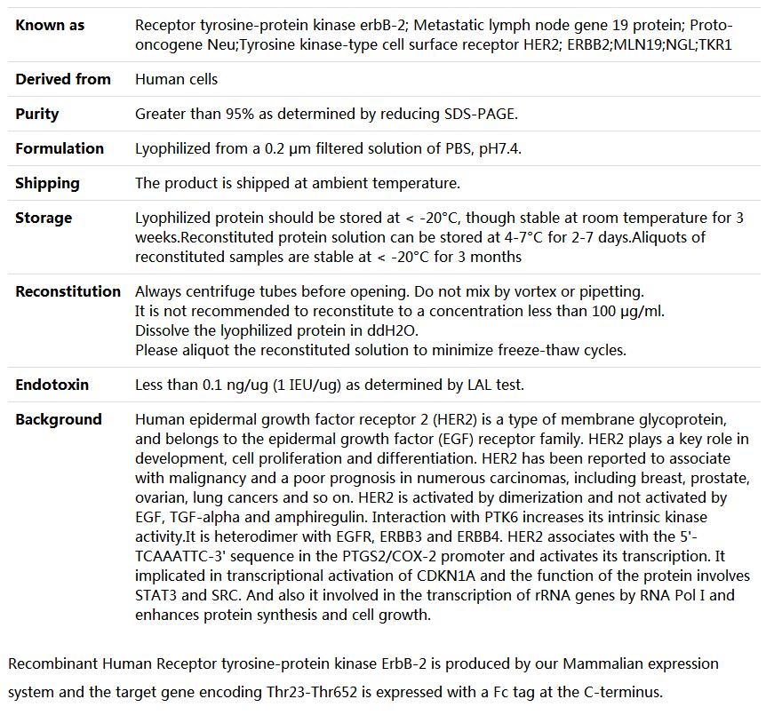 Recombinant Human CD340/ERBB2/HER2,索莱宝,P00143-10ug