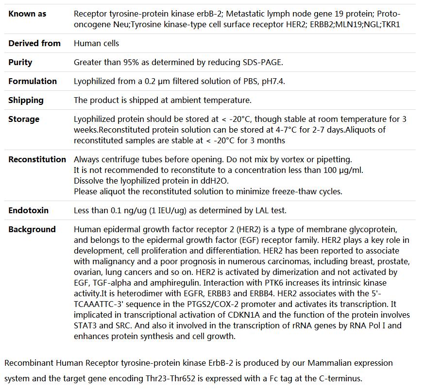 Recombinant Human CD340/ERBB2/HER2,索莱宝,P00143-50ug