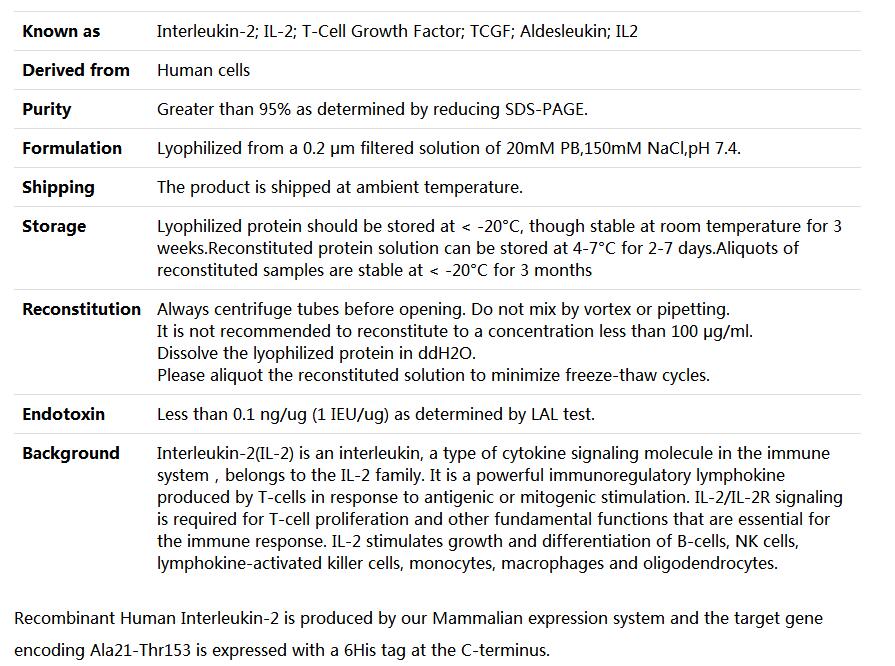 Recombinant Human IL-2,索莱宝,P00142-500ug