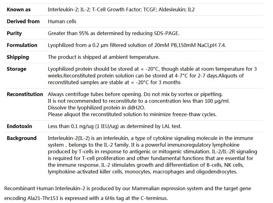 Recombinant Human IL-2,索莱宝,P00142-1mg