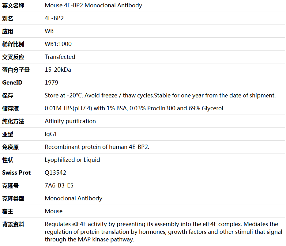 4E-BP2 Antibody,索莱宝,K000170M-100ul