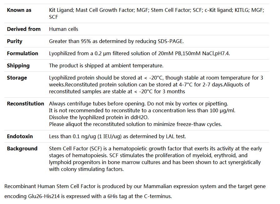 Recombinant Human Kit ligand/KITLG/SCF,索莱宝,P00141-500ug