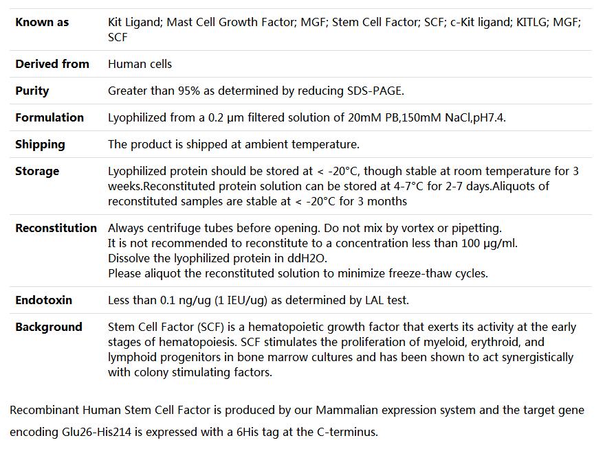 Recombinant Human Kit ligand/KITLG/SCF,索莱宝,P00141-50ug