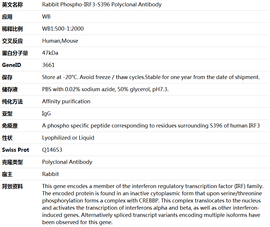 Phospho-IRF3-S396 Antibody,索莱宝,K006258P-100ul