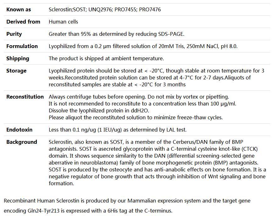 Recombinant Human Sclerostin/SOST,索莱宝,P00140-50ug