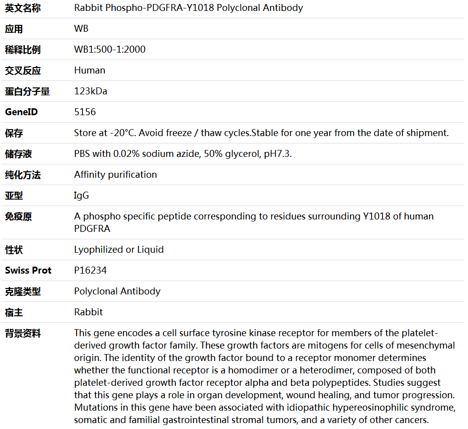 Phospho-PDGFRA-Y1018 Antibody,索莱宝,K006255P-100ul