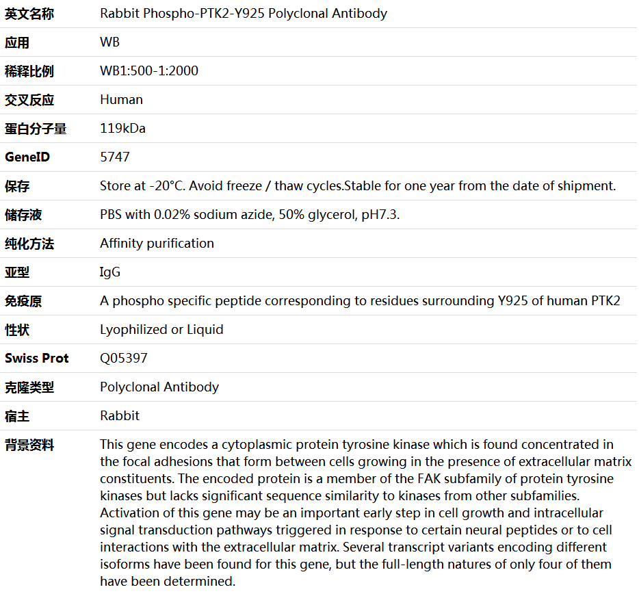 Phospho-PTK2-Y925 Antibody,索莱宝,K006250P-50ul