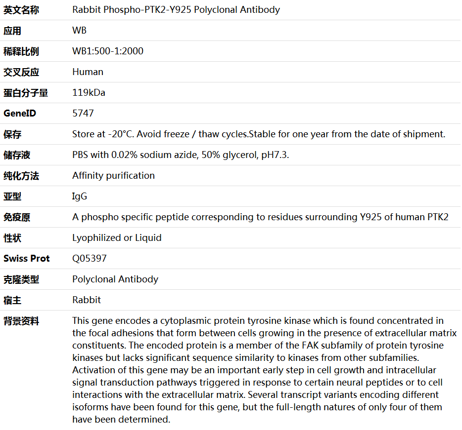 Phospho-PTK2-Y925 Antibody,索莱宝,K006250P-100ul