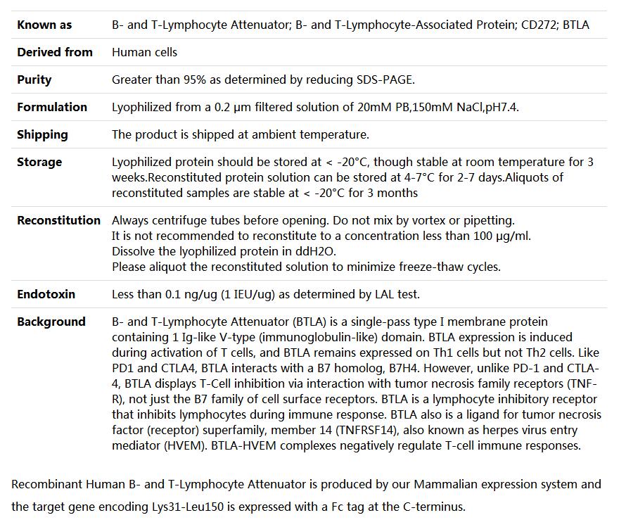 Recombinant Human BTLA/B-andT-lymphocyte attenuator/CD272(Fc fusion),索莱宝,P00135-50ug