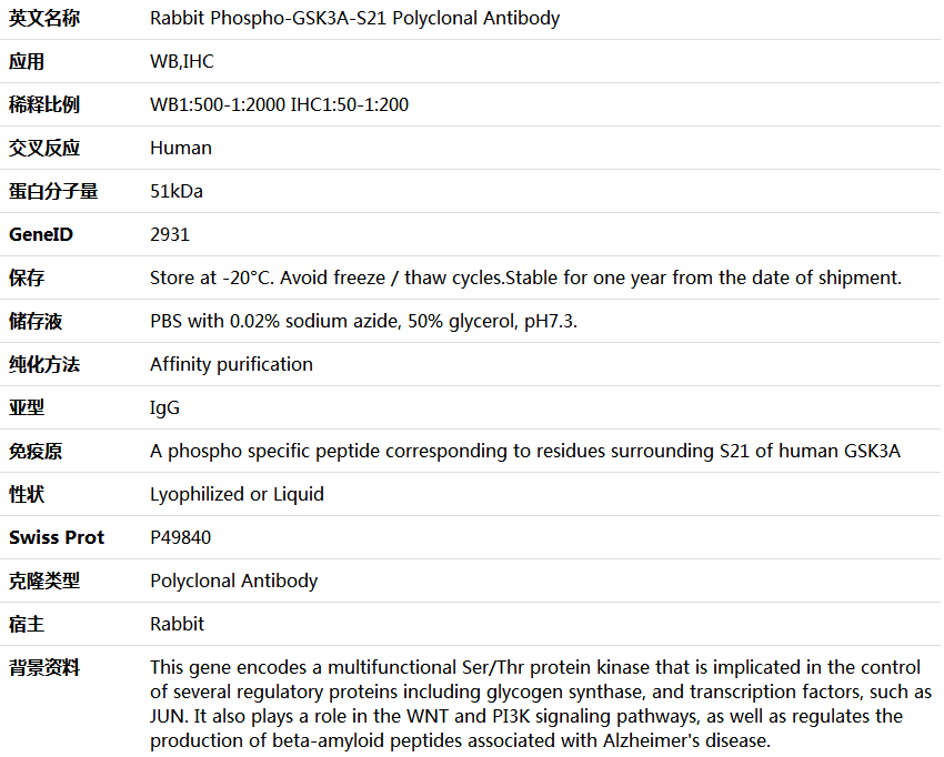 Phospho-GSK3A-S21 Antibody,索莱宝,K006245P-100ul