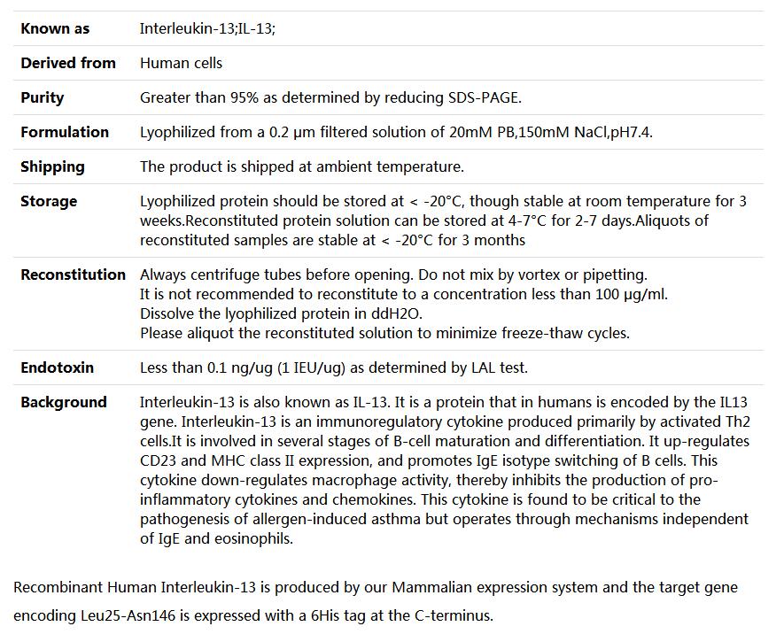 Recombinant Human IL-13,索莱宝,P00131-50ug