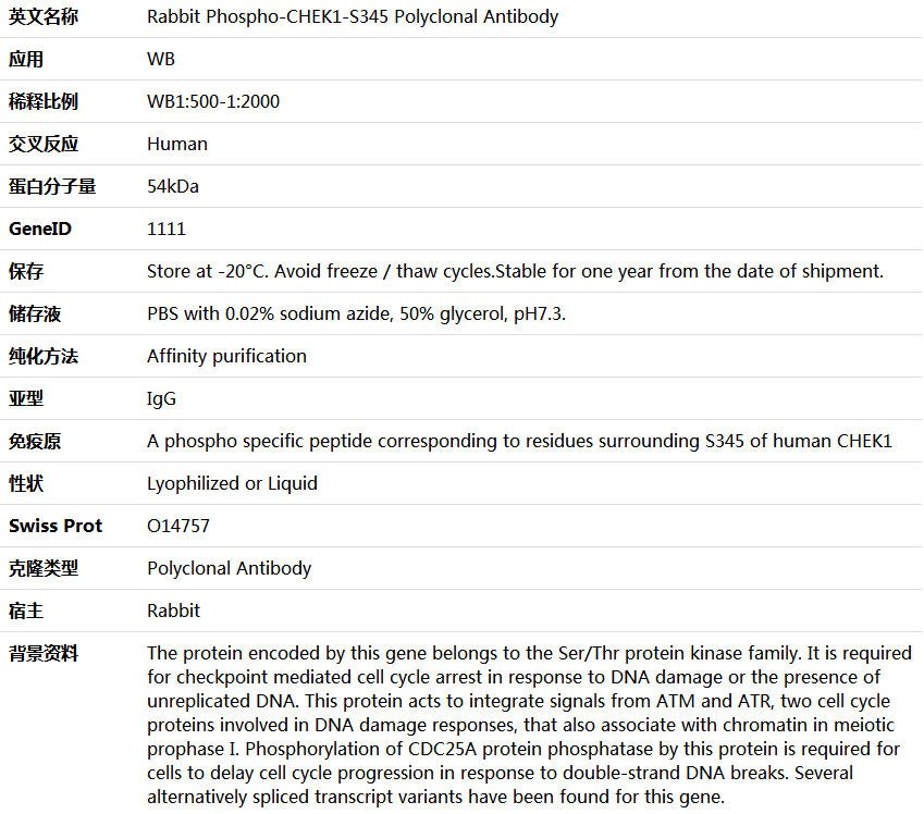 Phospho-CHEK1-S345 Antibody,索莱宝,K006244P-100ul