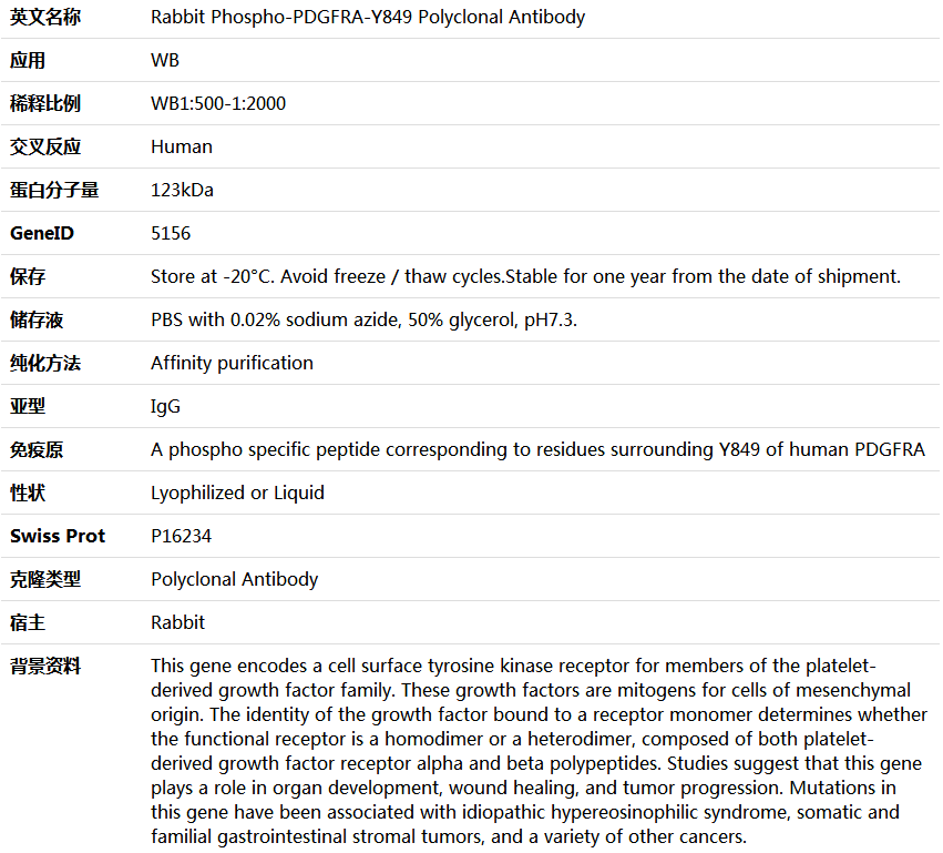 Phospho-PDGFRA-Y849 Antibody,索莱宝,K006241P-100ul