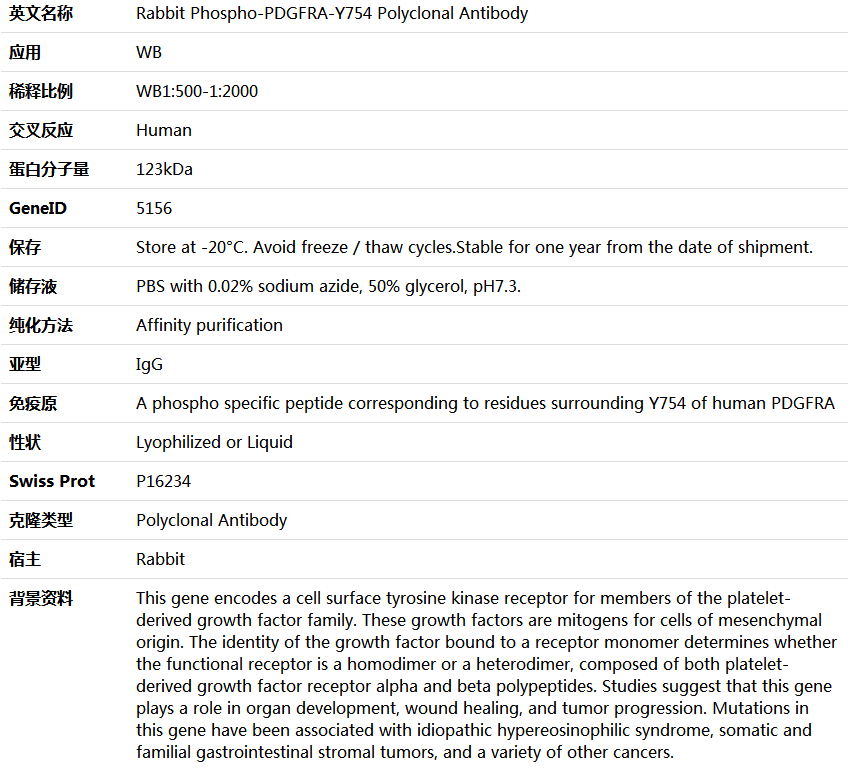 Phospho-PDGFRA-Y754 Antibody,索莱宝,K006240P-50ul