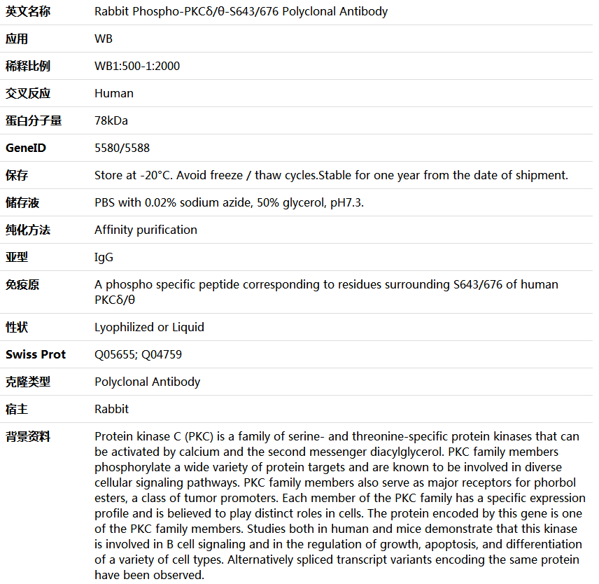 Phospho-PKCδ/θ-S643/676 Antibody,索莱宝,K006239P-100ul