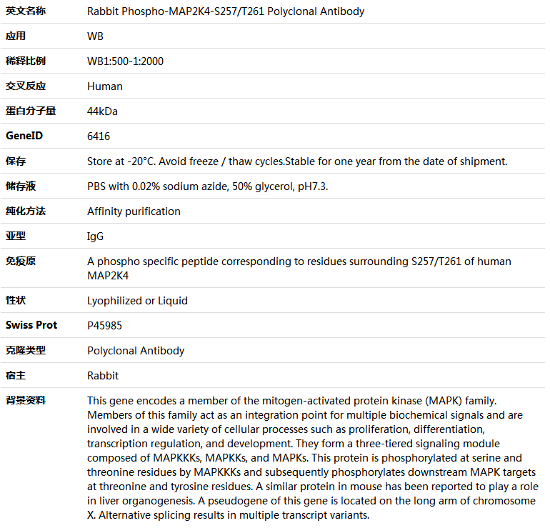 Phospho-MAP2K4-S257/T261 Antibody,索莱宝,K006234P-50ul