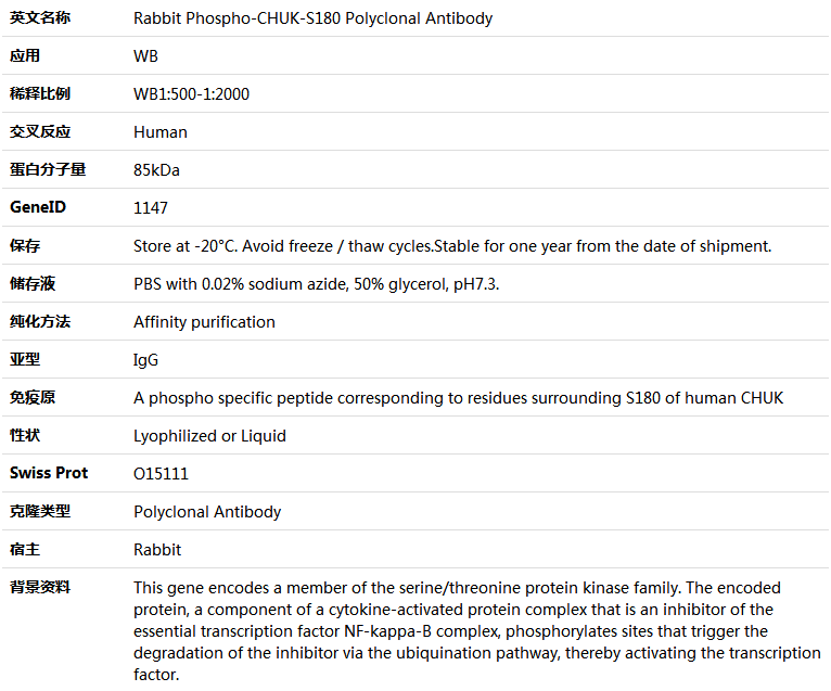 Phospho-CHUK-S180 Antibody,索莱宝,K006225P-50ul