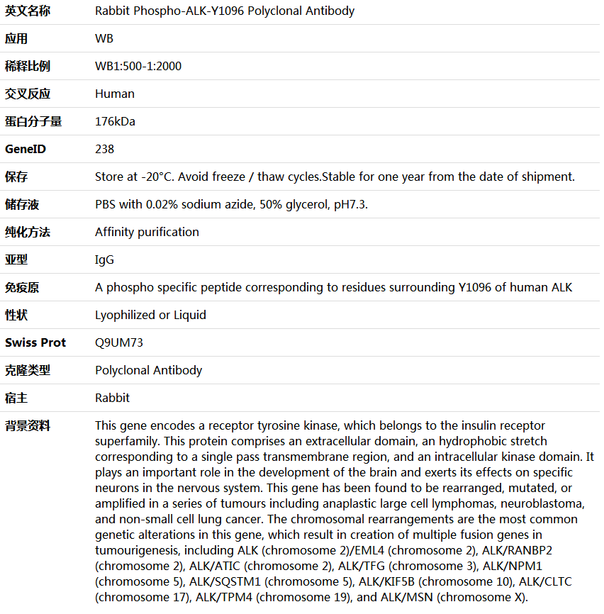 Phospho-ALK-Y1096 Antibody,索莱宝,K006224P-100ul