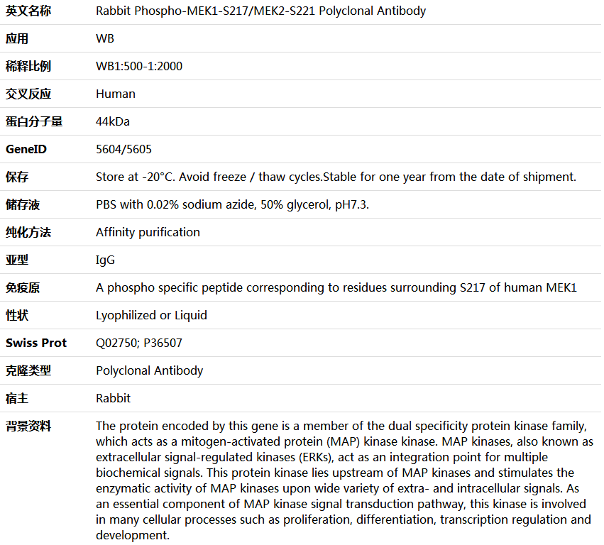 Phospho-MEK1-S217/MEK2-S221 Antibody,索莱宝,K006220P-50ul