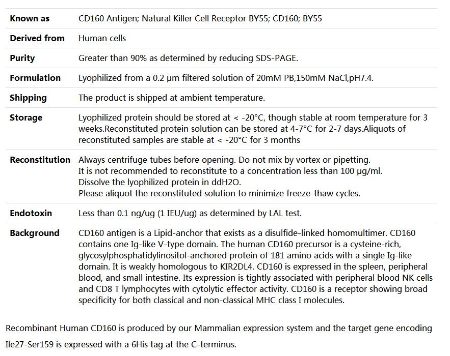 Recombinant Human CD160/NK receptor BY55,索莱宝,P00120-500ug