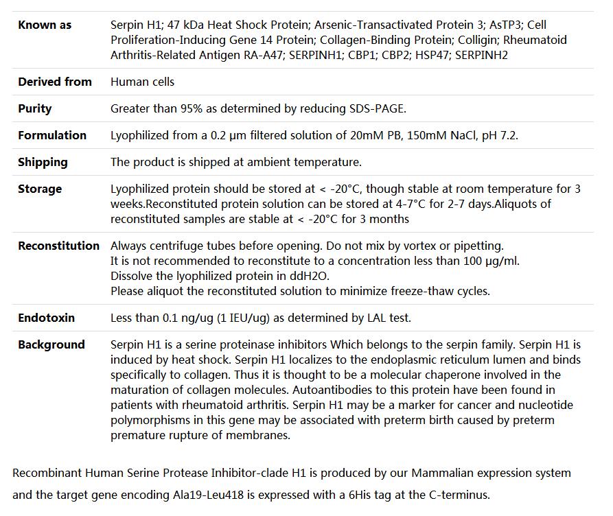 Recombinant Human Heat Shock 47kDa/SERPINH1,索莱宝,P00116-1mg