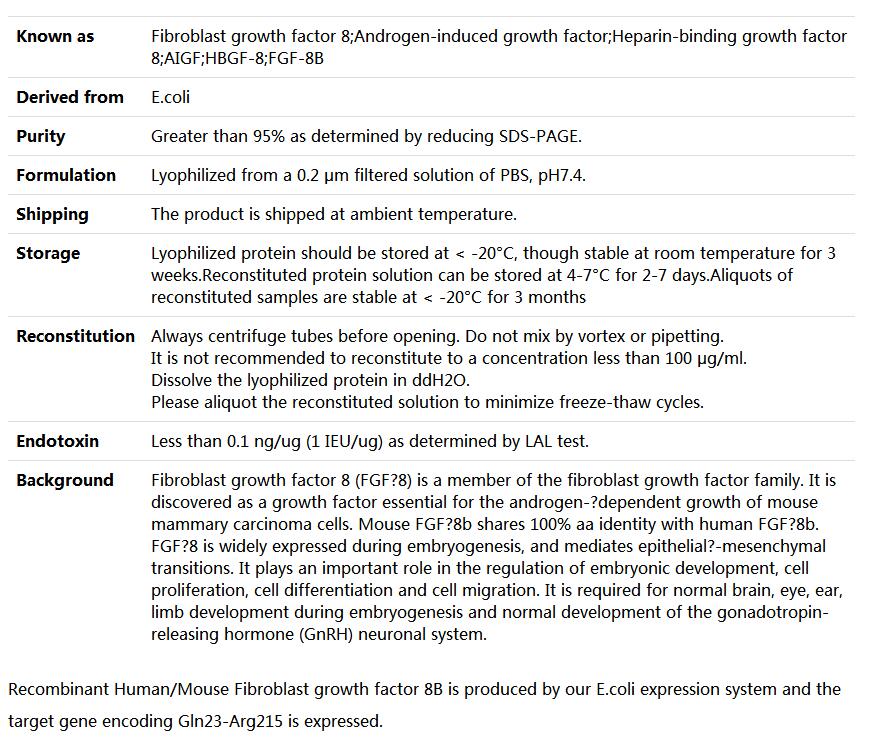 Recombinant Human/Mouse Fibroblast growth factor 8/FGF-8b/AIGF/HBGF-8,索莱宝,P00115-50ug