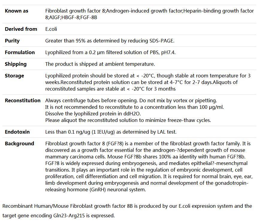 Recombinant Human/Mouse Fibroblast growth factor 8/FGF-8b/AIGF/HBGF-8,索莱宝,P00115-500ug