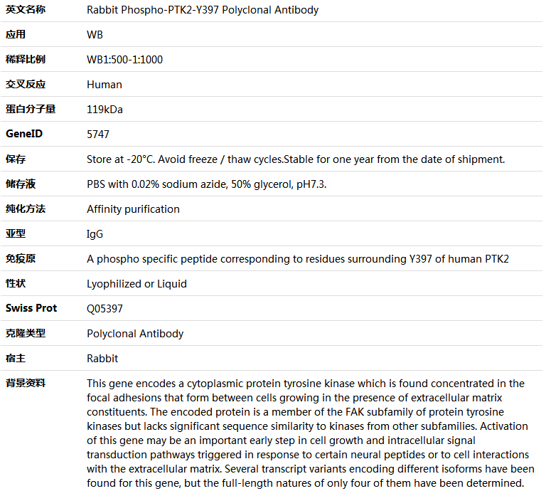 Phospho-PTK2-Y397 Antibody,索莱宝,K006213P-50ul