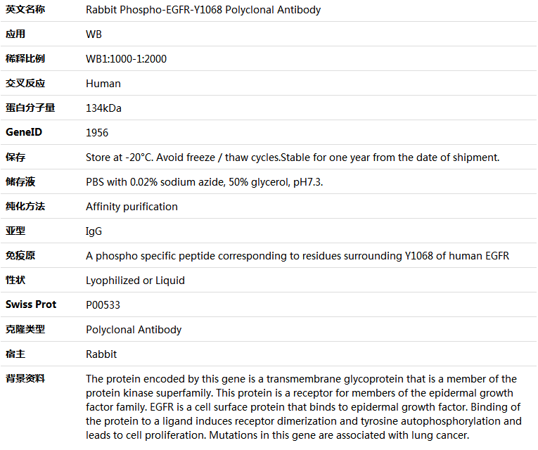 Phospho-EGFR-Y1068 Antibody,索莱宝,K006212P-50ul