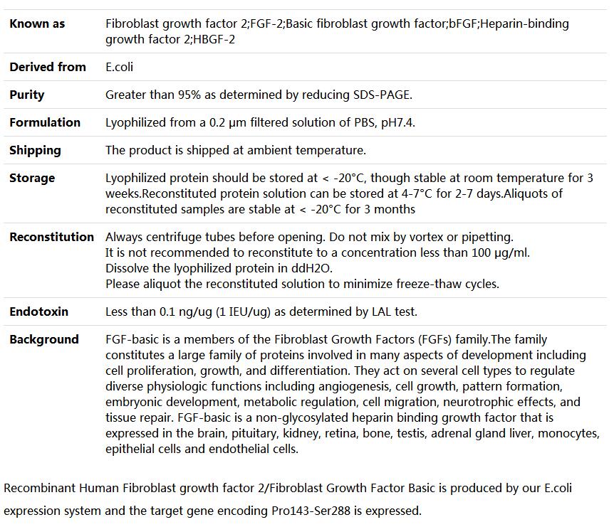 Recombinant Human FGF2/FGFb/FGF basic(143-288),索莱宝,P00110-10ug